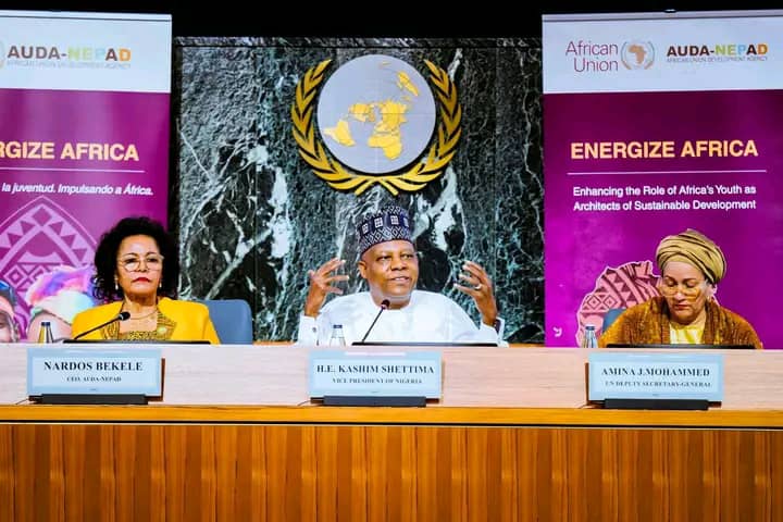 At UN Food Summit, Nigeria Maps 10-year Youth-led Agricultural Renewal Plan