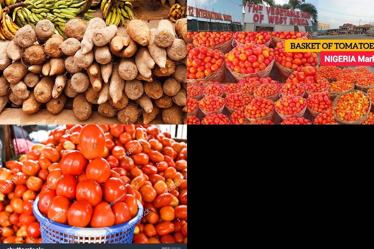 Oil Wealth, Empty Plates: Why Nigerians Pay the Price for Global Crises